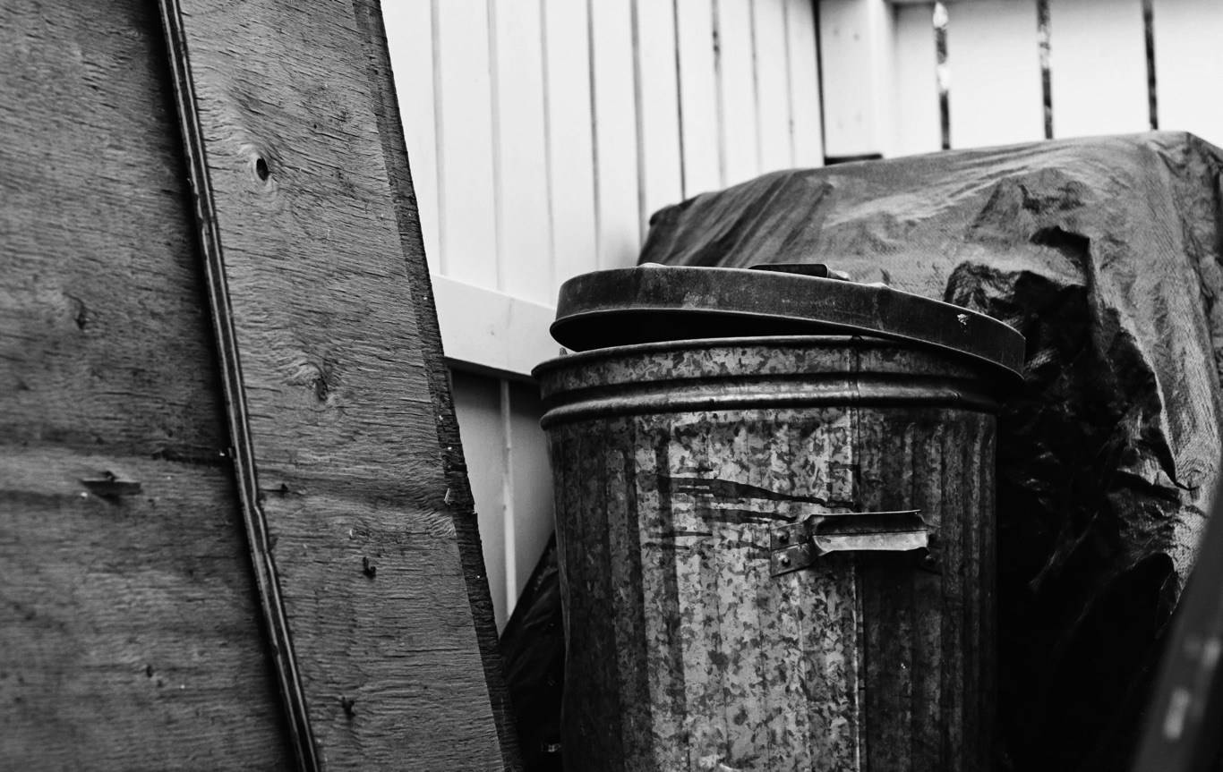 The Thing You Dragged To The Curb